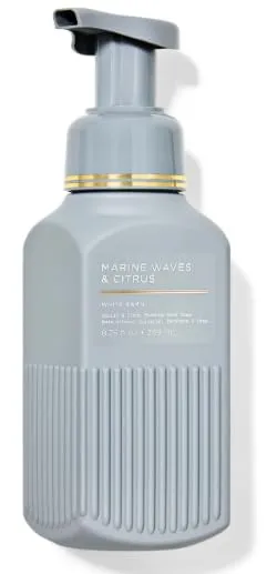3-Pack, Marine Waves & Citrus Foaming Hand Soap, 8.75 fl oz
