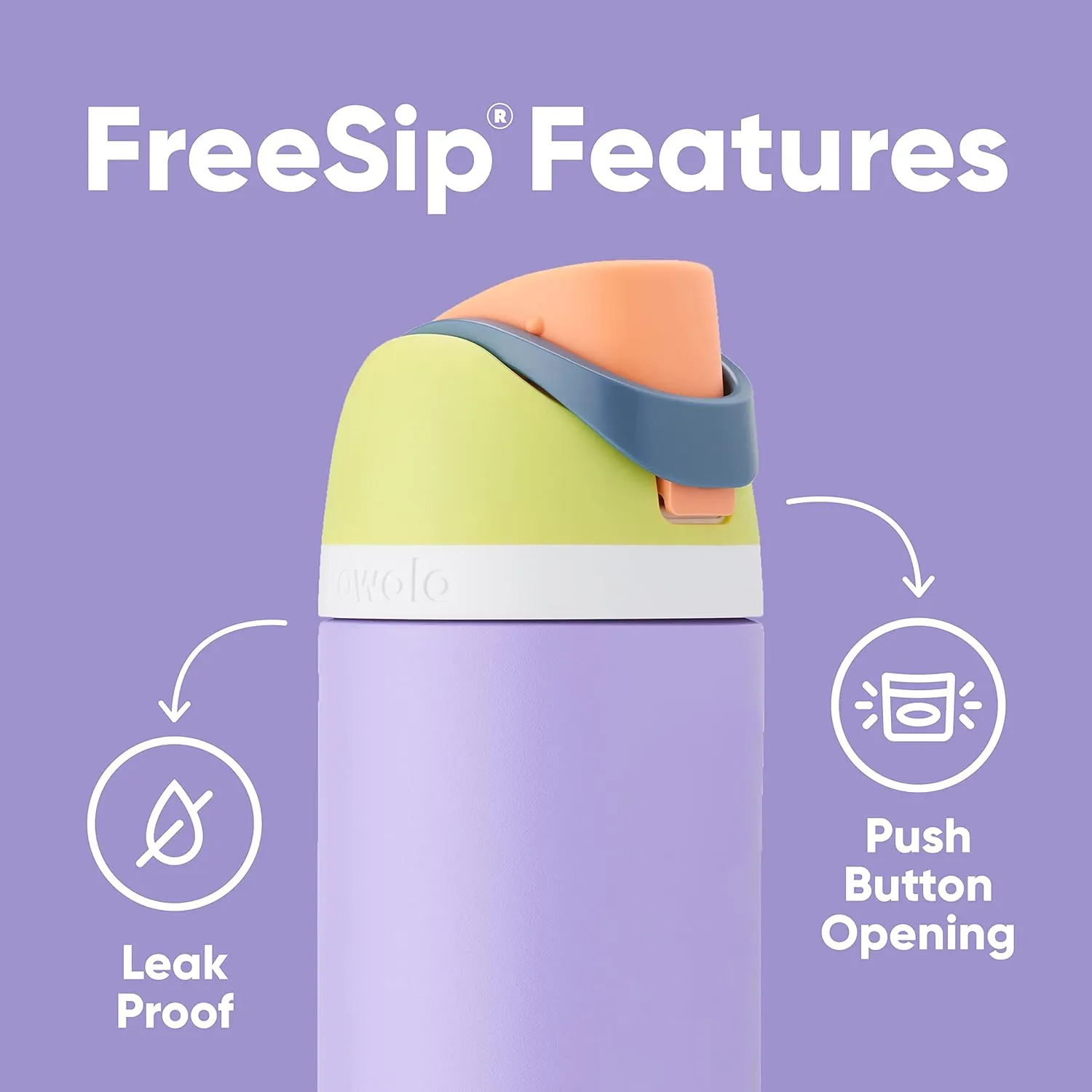 FreeSip Insulated Stainless Steel Water Bottle with Straw for Sports and Travel, BPA-Free, 24-oz, Boneyard