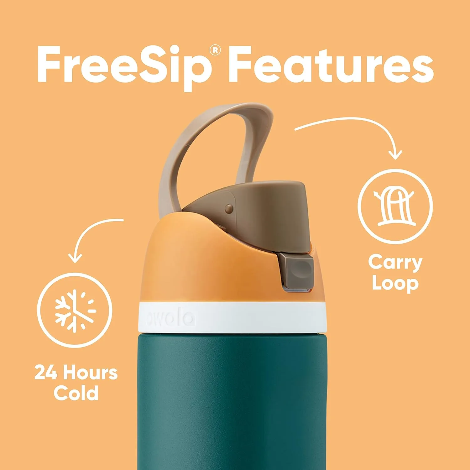 FreeSip Insulated Stainless Steel Water Bottle with Straw for Sports and Travel, BPA-Free, 24-oz, Boneyard
