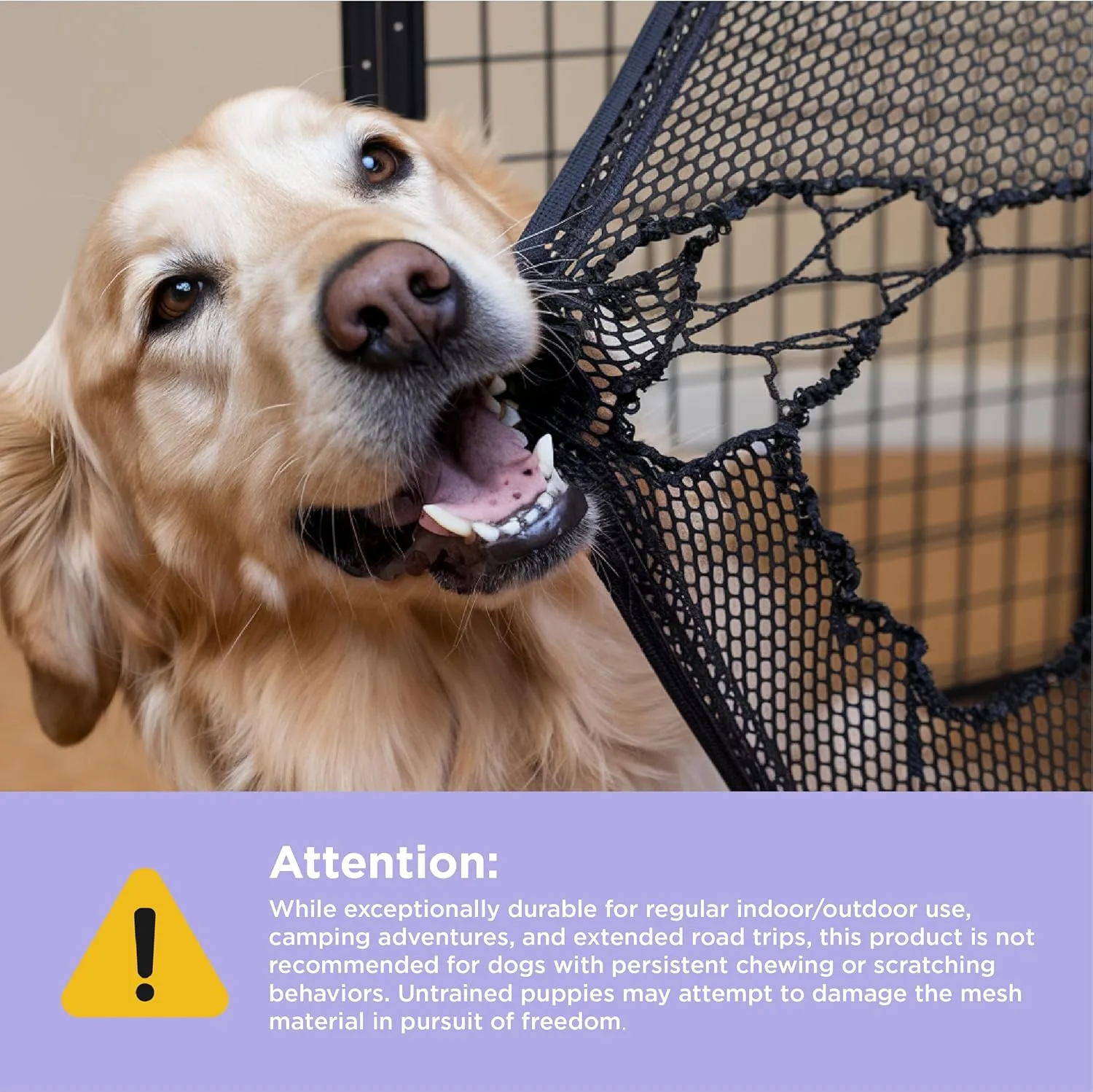 Lesure Collapsible Dog Crate - Portable Travel Kennel for Extra Large Dog, 4-Door Pet Crate with Durable Mesh Windows, Indoor & Outdoor, Light Gray