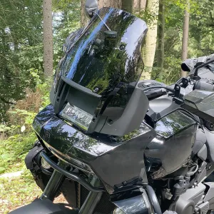 Motorcycle Windshield Windscreen Flyscreen Wind Deflector Fit for Pan America PA 1250 / Special 2021 2022 2023 2024 Screen Shield Visor Protector (Smoke)