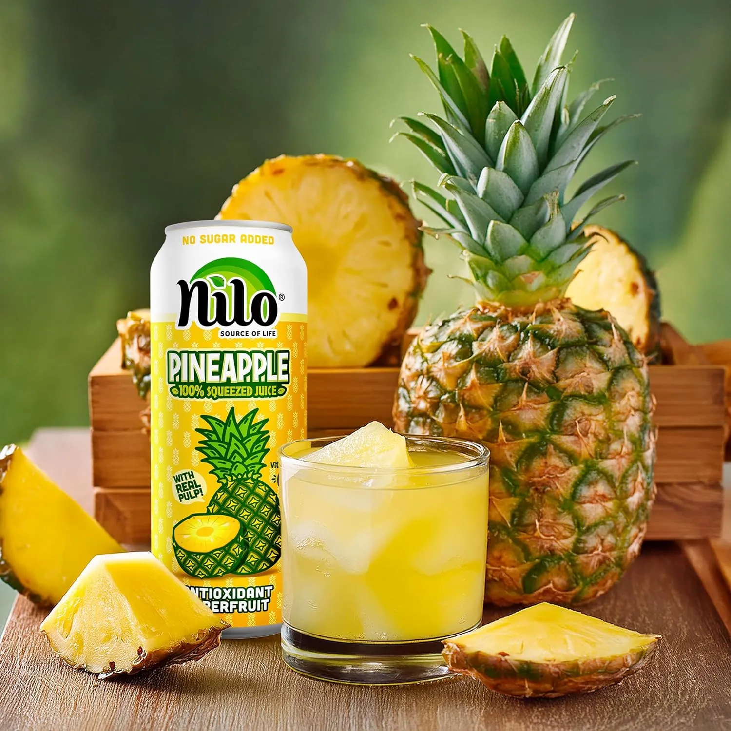 NILO Pineapple Juice | 100% Squeezed Pineapple Pina | NO Sugar added | NOT From Concentrate | 10.8 oz (Pack of 12)