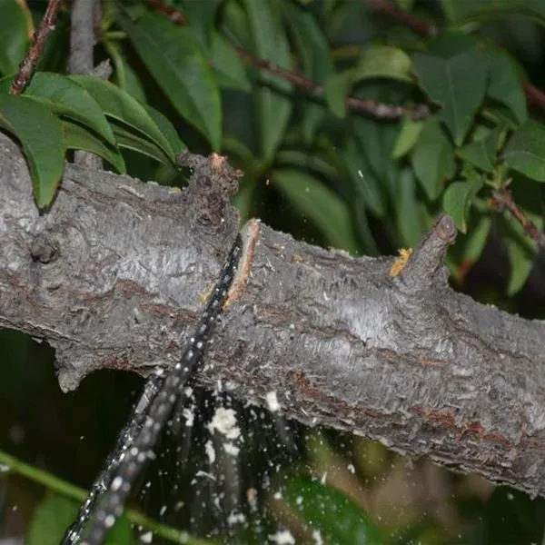 Portable Handheld Survival Chain Saw