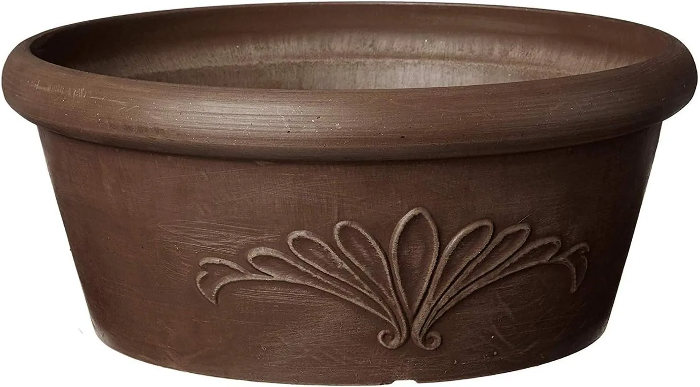 PSW Pot TA30C Collection Shallow Bulb Pan Planter Dish Low Bowl for Succulents, Bonsai, Fairy Gardens, Herbs, 12-inch, Chocolate