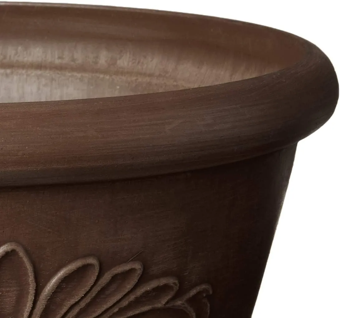 PSW Pot TA30C Collection Shallow Bulb Pan Planter Dish Low Bowl for Succulents, Bonsai, Fairy Gardens, Herbs, 12-inch, Chocolate