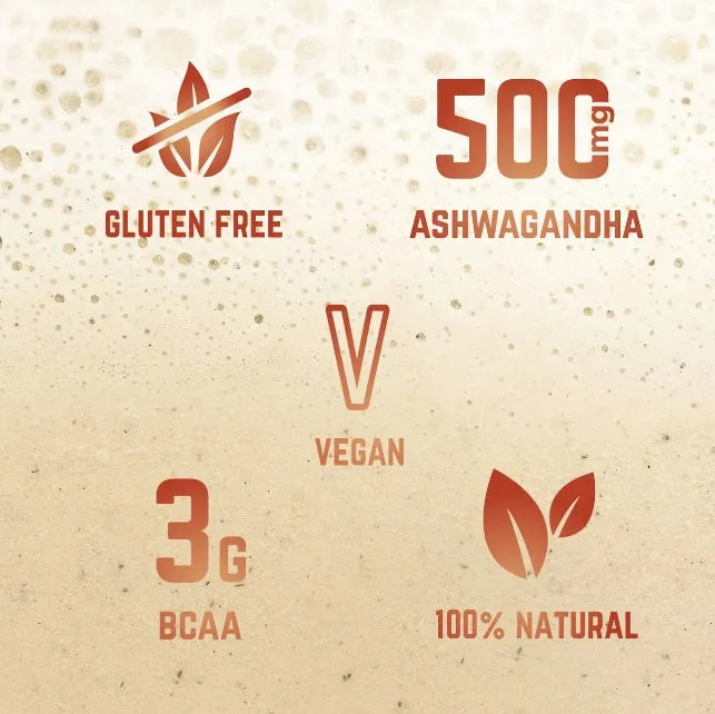 Veloforte - Recovery Protein Shake - Molto  (Madagascan Vanilla & Cinnamon) - 10-Servings